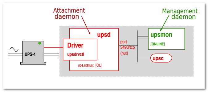 Overview of NUT